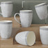 Grey Fizz Coffee Mug (Set of 6)
